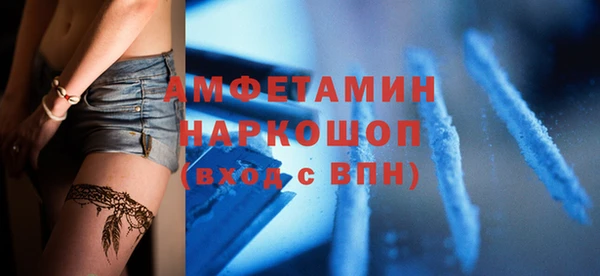 прущий лед Вяземский
