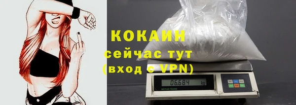 гашик Вязьма