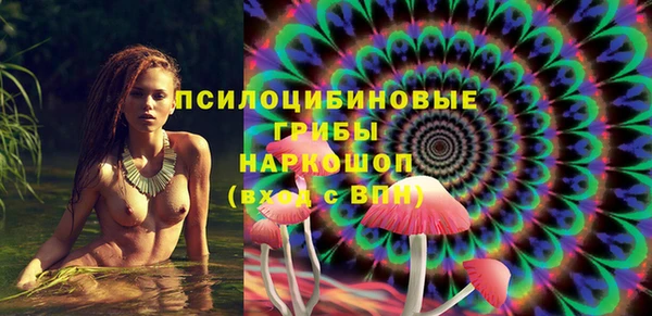 прущий лед Вяземский
