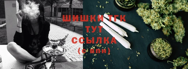 прущий лед Вяземский